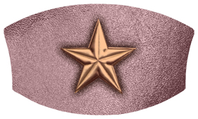 DNSWILL 430 BZ OR Star Bronze Orchid